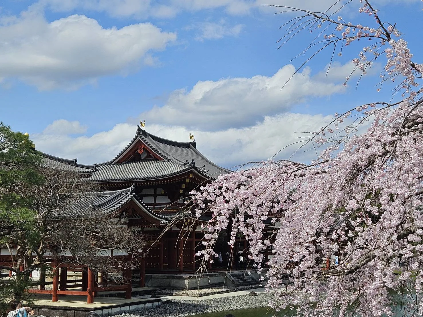 Spring — temple and cherry blossoms
