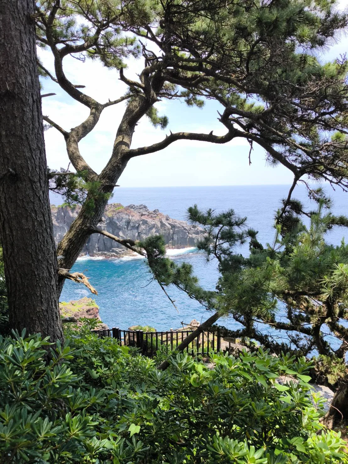 The Jogasaki coast
