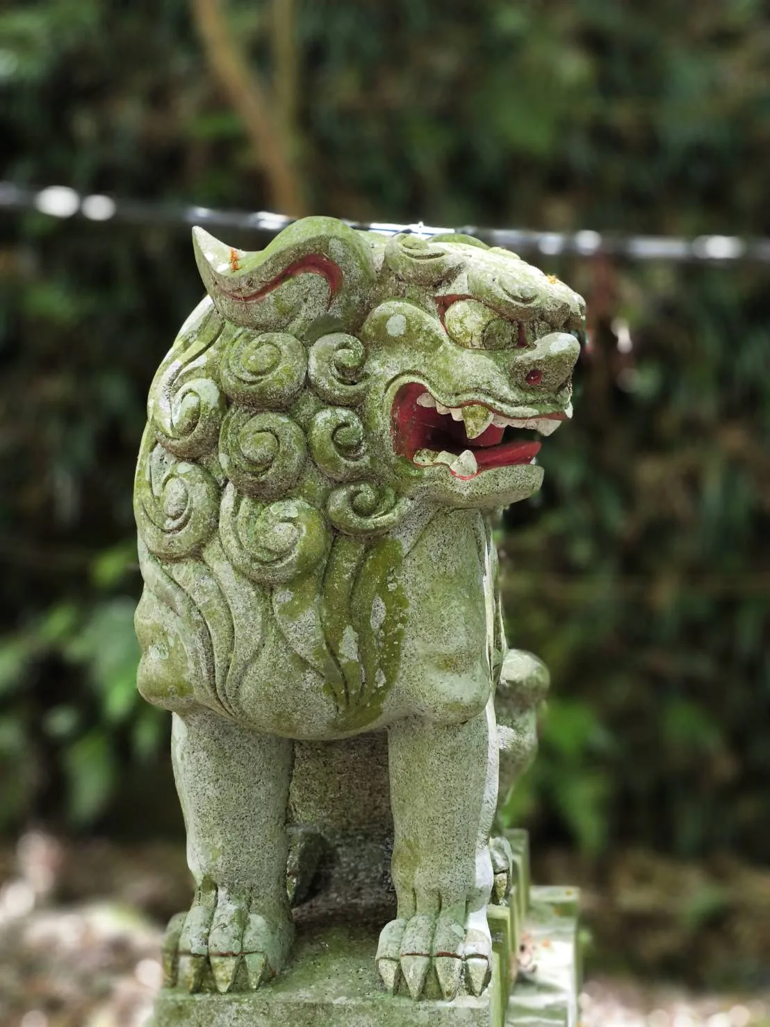 Guardian of the shrine